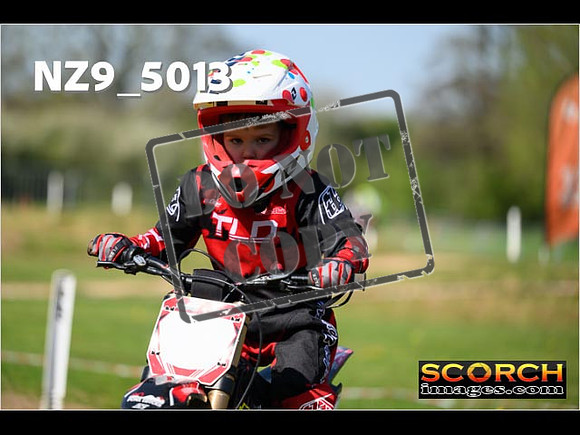 PeeWee-084
