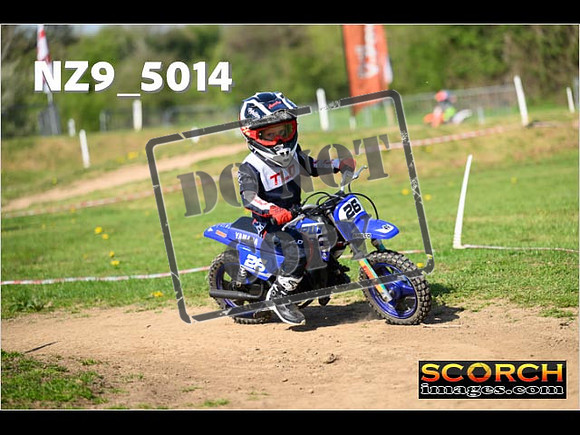 PeeWee-085