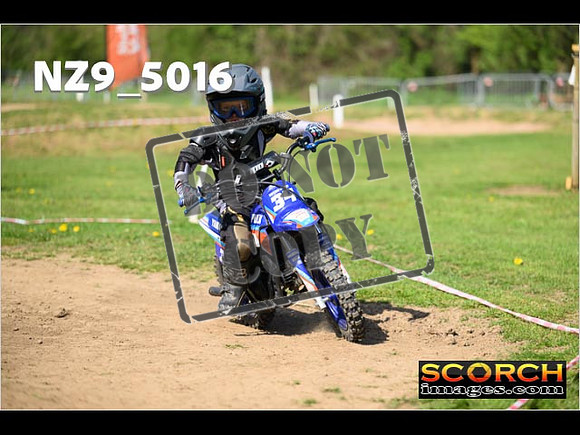 PeeWee-087