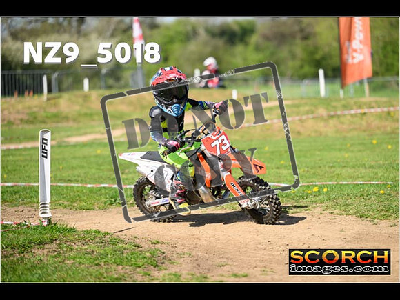 PeeWee-089