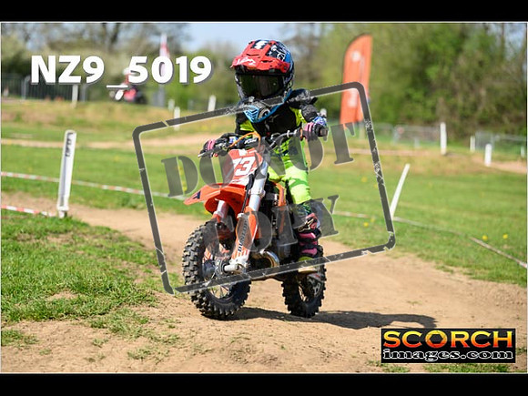 PeeWee-090