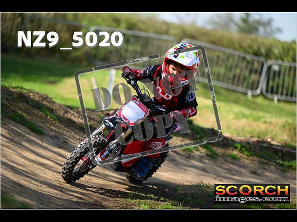PeeWee-091