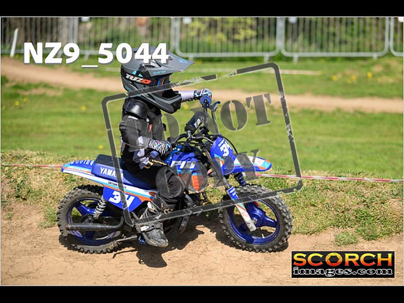 PeeWee-115