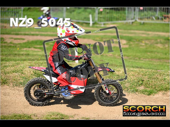 PeeWee-116