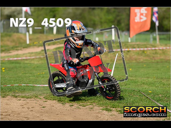 PeeWee-002