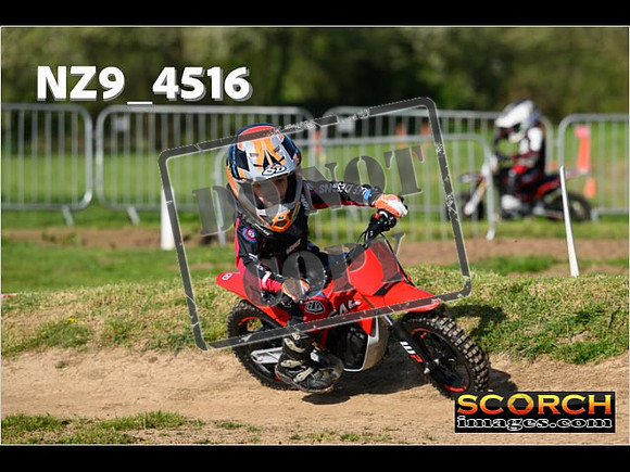 PeeWee-009