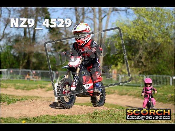 PeeWee-022