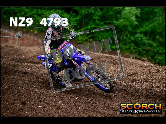 Experts-089