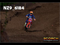 Experts-018