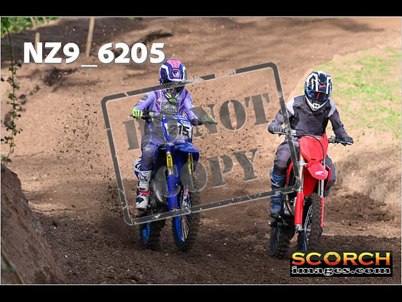 Experts-035