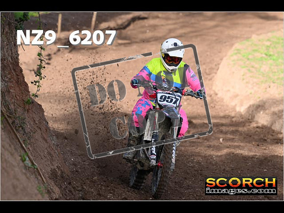 Experts-037