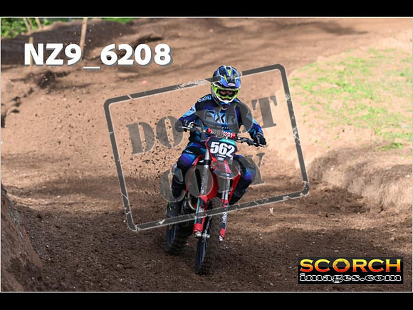 Experts-038