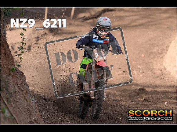 Experts-041
