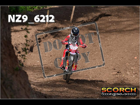 Experts-042