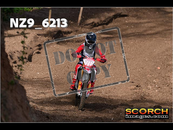 Experts-043
