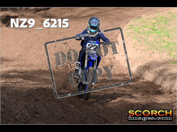 Experts-045