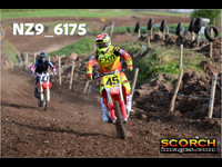 Experts-009