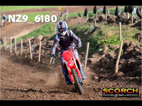 Experts-014