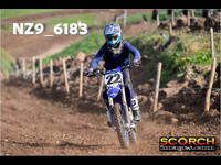 Experts-017