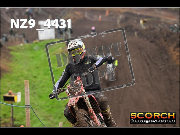 Experts-273