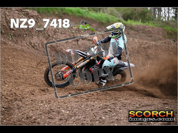 Experts-019