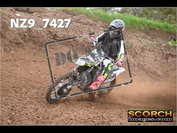 Experts-028