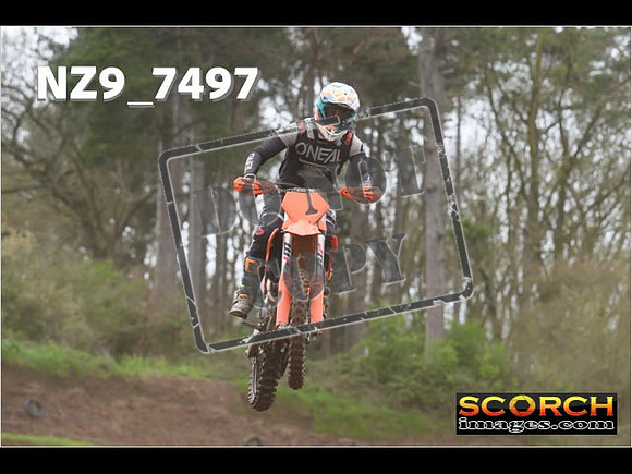 Experts-096