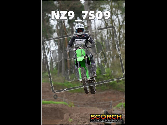Experts-107