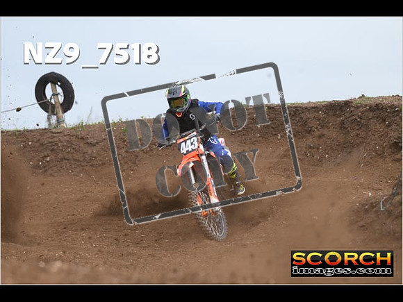 Experts-116