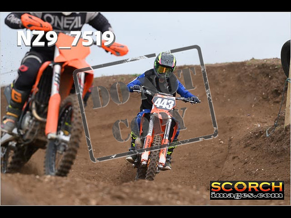 Experts-117