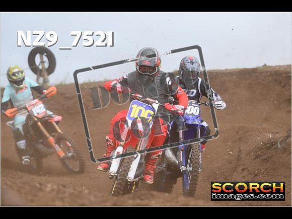 Experts-119