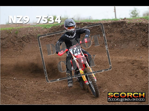 Experts-131