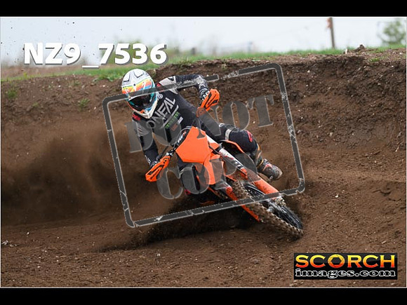 Experts-133