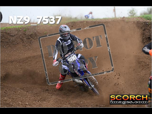 Experts-134