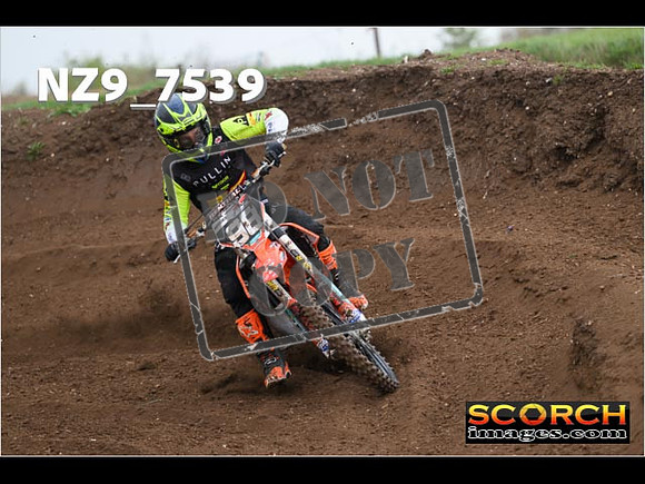 Experts-136