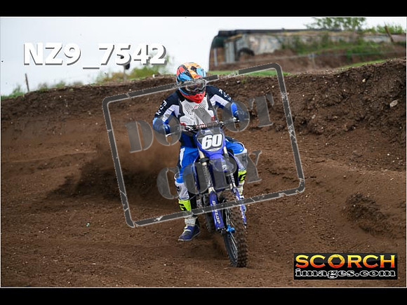 Experts-139