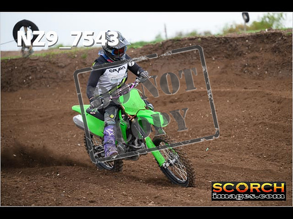 Experts-140