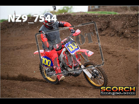 Experts-141