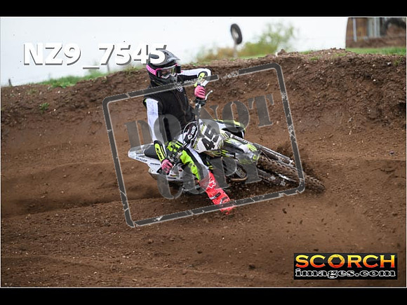 Experts-142