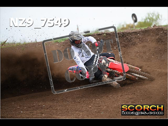 Experts-146