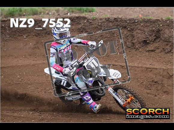 Experts-149