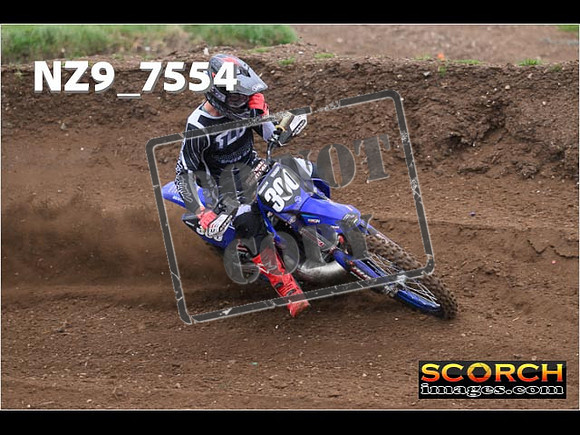 Experts-151