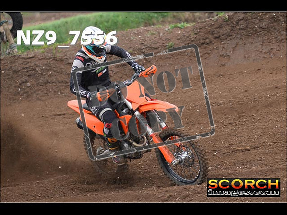 Experts-153