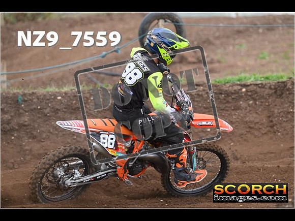 Experts-156