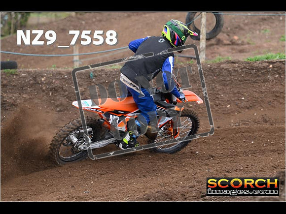 Experts-155
