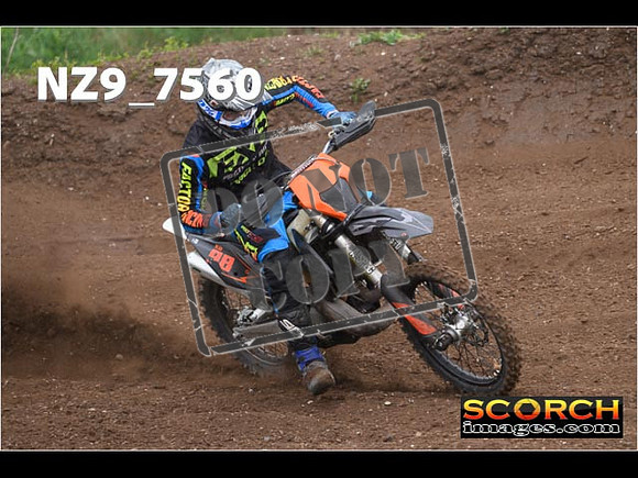 Experts-157