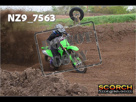 Experts-159