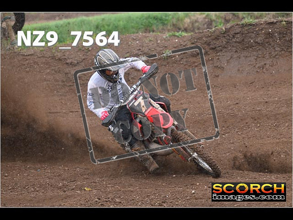 Experts-160
