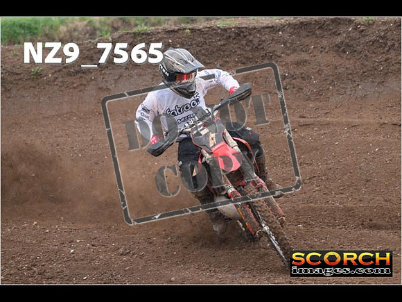 Experts-161