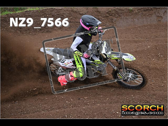 Experts-162
